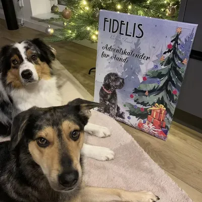 FIDELIS XL-Adventskalender "Weihnachtsbaum" FIDELIS XL-Adventskalender "Weihnachtsbaum"