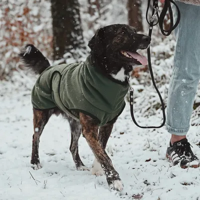 THE DOG IDEA Hundepullover Fleece Khaki THE DOG IDEA Hundepullover Fleece Khaki