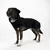THE DOG IDEA Hundepullover Fleece Schwarz THE DOG IDEA Hundepullover Fleece Schwarz