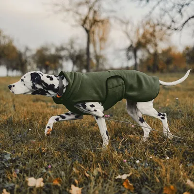 THE DOG IDEA Hundepullover Fleece Khaki THE DOG IDEA Hundepullover Fleece Khaki