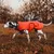 THE DOG IDEA Hundepullover Fleece Orange THE DOG IDEA Hundepullover Fleece Orange