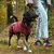 THE DOG IDEA Hundepullover Bordeaux THE DOG IDEA Hundepullover Bordeaux