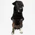 THE DOG IDEA Hundepullover Fleece Schwarz THE DOG IDEA Hundepullover Fleece Schwarz