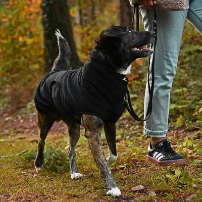 THE DOG IDEA Hundepullover Fleece Schwarz