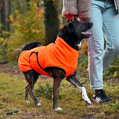 THE DOG IDEA Hundepullover Fleece Orange THE DOG IDEA Hundepullover Fleece Orange