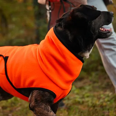 THE DOG IDEA Hundepullover Fleece Orange THE DOG IDEA Hundepullover Fleece Orange