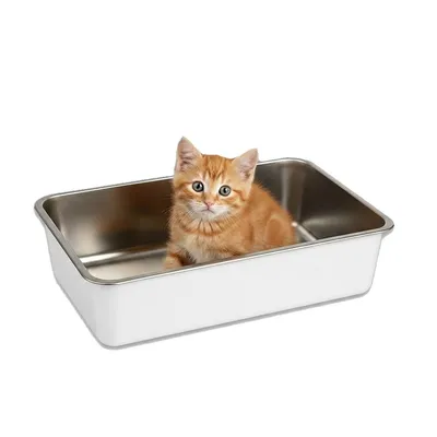 Lucky-Kitty Kitten Toilette