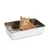 Lucky-Kitty Kitten Toilette Lucky-Kitty Kitten Toilette