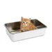 Lucky-Kitty Kitten Toilette