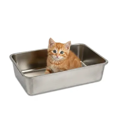 Lucky-Kitty Kitten Toilette