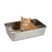 Lucky-Kitty Kitten Toilette