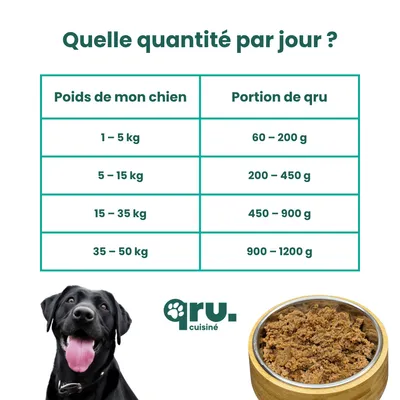 QRU - Repas complet chien – Pack découverte QRU - Repas complet chien – Pack découverte