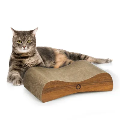 Canadian Cat Company Kratzbrett SATELLITE SMALL Katzenmöbel Canadian Cat Company Kratzbrett SATELLITE SMALL Katzenmöbel