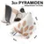 Canadian Cat Company Spielkissen Set 3x Schmusekissen & 3x Mini Pyramiden Canadian Cat Company Spielkissen Set 3x Schmusekissen & 3x Mini Pyramiden