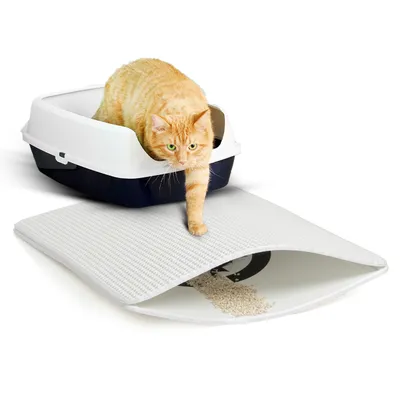 Canadian Cat Company Katzenstreumatte ZAUBERMATTE mit Klett Canadian Cat Company Katzenstreumatte ZAUBERMATTE mit Klett