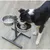 TRIXIE Hundebar, Metall/Edelstahl TRIXIE Hundebar, Metall/Edelstahl