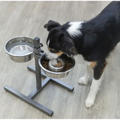 TRIXIE Hundebar, Metall/Edelstahl TRIXIE Hundebar, Metall/Edelstahl