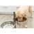 TRIXIE Hundebar, Metall/Edelstahl