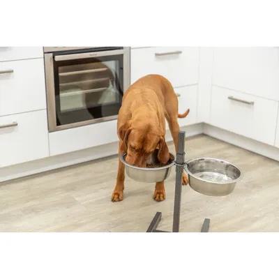 TRIXIE Hundebar, Metall/Edelstahl