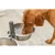 TRIXIE Hundebar, Metall/Edelstahl