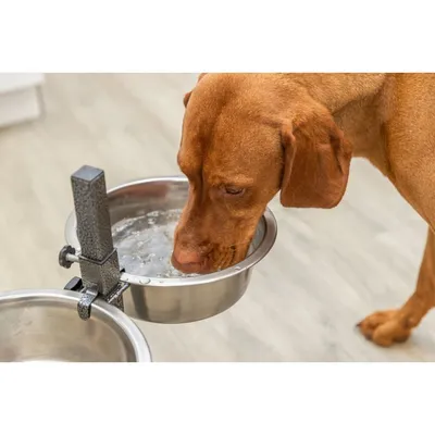 TRIXIE Hundebar, Metall/Edelstahl
