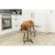 TRIXIE Hundebar, Metall/Edelstahl