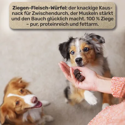 BluePet Ziegen Fleischwürfel 100% Ziege, Natürlicher Kausnack, Monoprotein