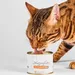 Lucky-Kitty Katzenfutter
