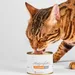 Lucky-Kitty Katzenfutter