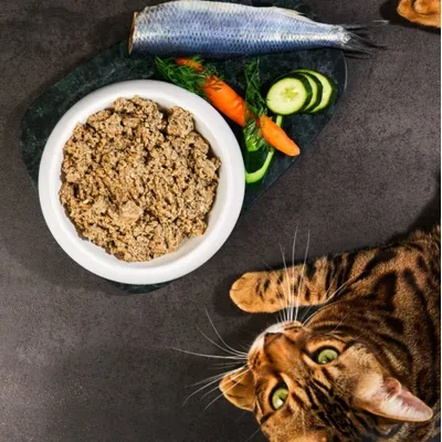 Lucky-Kitty Katzenfutter