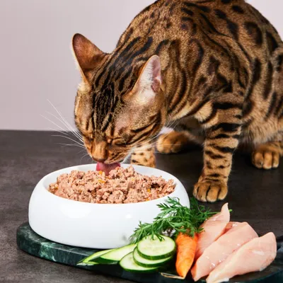 Lucky-Kitty Katzenfutter Lucky-Kitty Katzenfutter