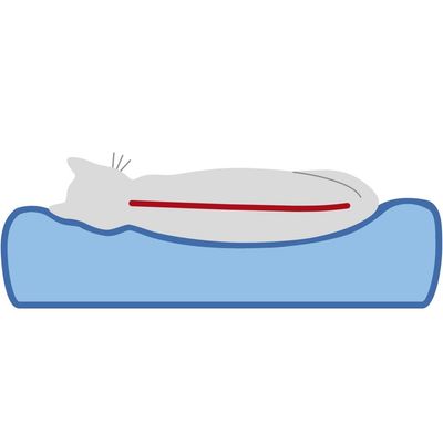 TRIXIE Vital Kuschelsack Lonni