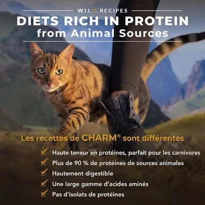 CHARM Croquettes Poulet Fermier pour Chat - Sans Céréales CHARM Croquettes Poulet Fermier pour Chat - Sans Céréales