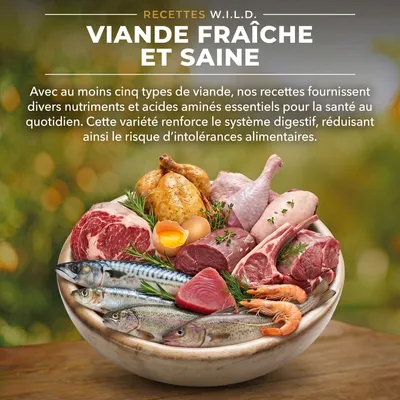 CHARM Croquettes Poulet Fermier pour Chat - Sans Céréales