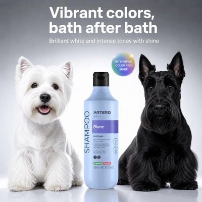 Artero Champú Blanc para pelo blanco y oscuro