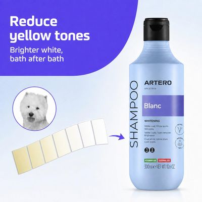Artero Champú Blanc para pelo blanco y oscuro