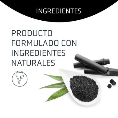 Artero Champú Detox con carbón activo