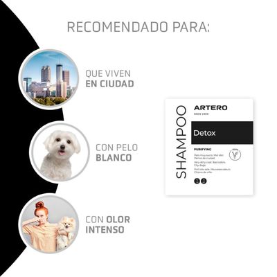 Artero Champú Detox con carbón activo