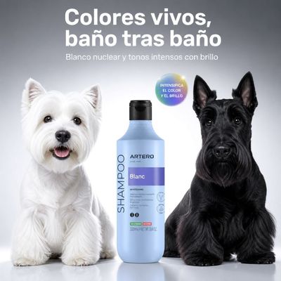 Artero Champú Blanc para pelo blanco y oscuro