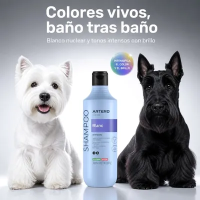 Artero Champú Blanc para pelo blanco y oscuro