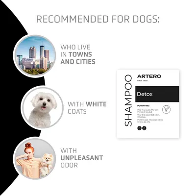 Artero Detox Shampoo mit Aktivkohle