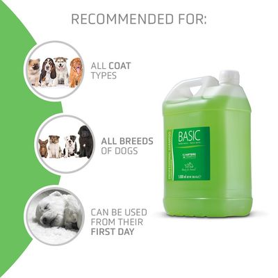 Artero Shampooing Basic dégraissant pour chiens