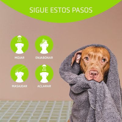 Artero Shampooing Basic dégraissant pour chiens