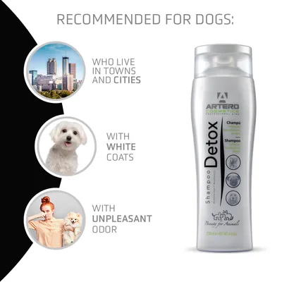 Artero Detox Shampoo mit Aktivkohle