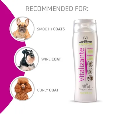Artero Vitalisierendes Shampoo für Rauhaar und Volumen