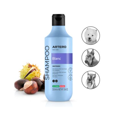 Artero coffret de soins pour Bichon Maltais