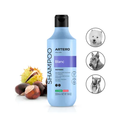 Artero coffret de soins pour Bichon Maltais