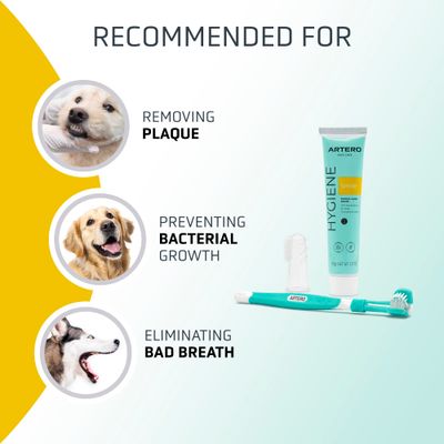 Artero kit de higiene dental Dental Pack Smile