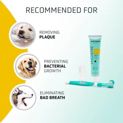 Artero kit de higiene dental Dental Pack Smile Artero kit de higiene dental Dental Pack Smile