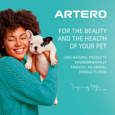Artero kit de higiene dental Dental Pack Smile Artero kit de higiene dental Dental Pack Smile